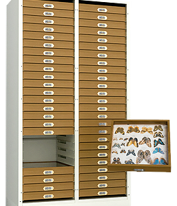 FACES COM SUPORTES LATERAIS PARAGAVETAS DE COLEÇÕES ENTOMOLÓGICAS